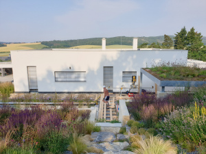 drevena-terasa_sibirsky-modrin_1807-02