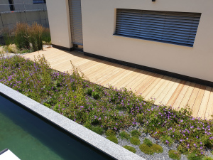 drevena-terasa_sibirsky-modrin_1807-07