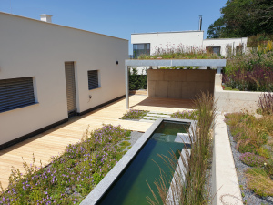 drevena-terasa_sibirsky-modrin_1807-08