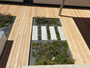 drevena-terasa_sibirsky-modrin_1807-09