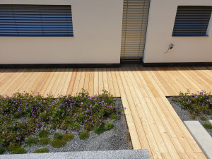 drevena-terasa_sibirsky-modrin_1807-11