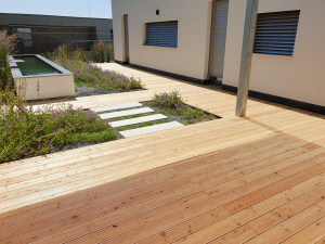 drevena-terasa_sibirsky-modrin_1807-12