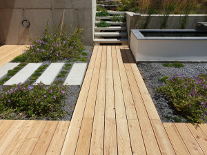 drevena-terasa_sibirsky-modrin_1807-16