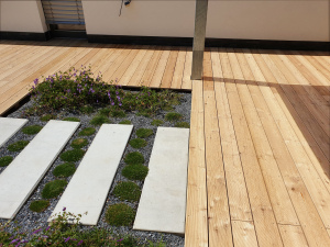 drevena-terasa_sibirsky-modrin_1807-17