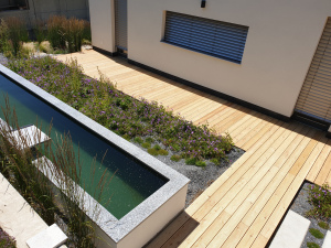 drevena-terasa_sibirsky-modrin_1807-18