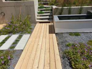 drevena-terasa_sibirsky-modrin_1807-21