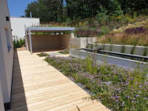 drevena-terasa_sibirsky-modrin_1807-23